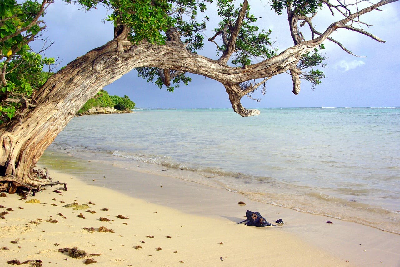 Découvrez la Guadeloupe en séjour post-croisière : l’évasion parfaite